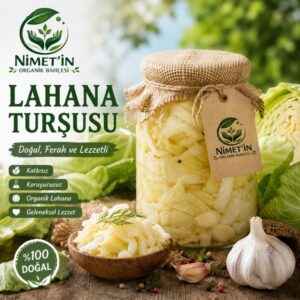 Ev Yapımı Doğal Lahana Turşusu